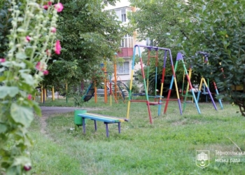 У Тернопільському дворі облаштують зелену зону