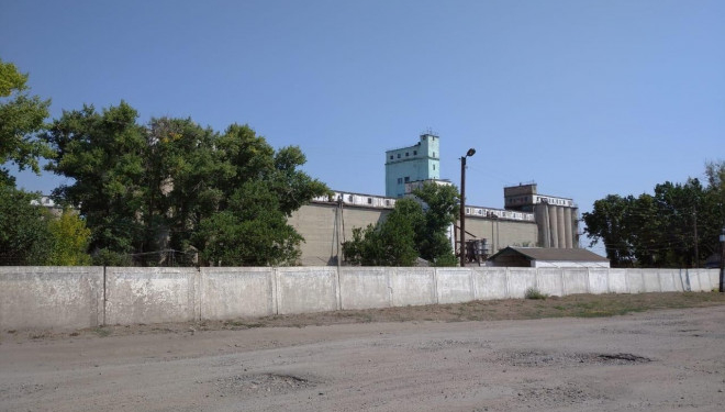 На Харківщині СБУ викрила розкрадання зерна з державного резерву на 2,5 мільйона гривень