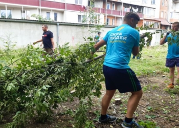 Цинізму немає меж: члени партії «Сила Людей» вирубали цілу галявину дерев (Фото)
