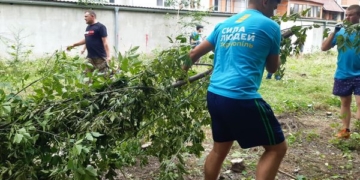 Цинізму немає меж: члени партії «Сила Людей» вирубали цілу галявину дерев (Фото)