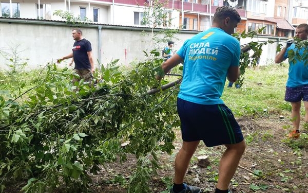 Цинізму немає меж: члени партії «Сила Людей» вирубали цілу галявину дерев (Фото)