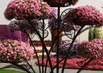 В Тернополі проводять вертикальне озеленення парків