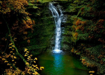 Еко-ініціатива: на Тернопільщині очищатимуть найбільший водоспадний струмок України