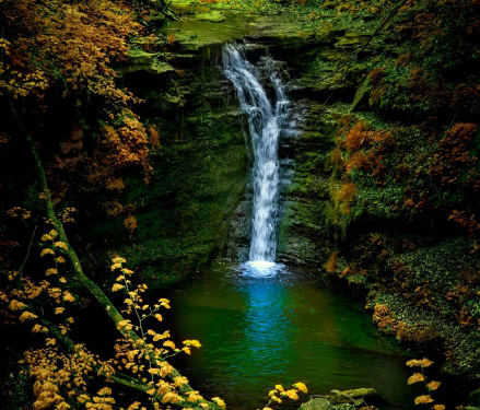 Еко-ініціатива: на Тернопільщині очищатимуть найбільший водоспадний струмок України