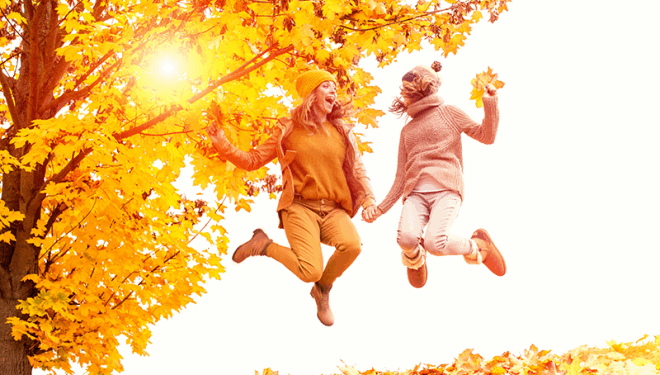 На Тернопільщині проводять моніторинг активності населення