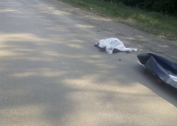 Смертельна ДТП на Тернопільщині: від удару пішохода розірвало навпіл