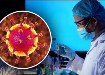 Квест із тестом на коронавірус: життєва історія з Тернопільщини