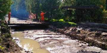 У Тернополі покращують благоустрій парків