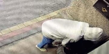 У центрі міста невідома викрала квіти, висаджені перед входом у приміщення ТМГО «Тернопільський прес-клуб»