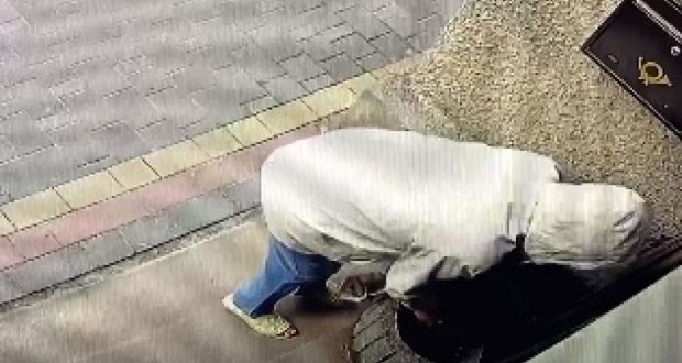 У центрі міста невідома викрала квіти, висаджені перед входом у приміщення ТМГО «Тернопільський прес-клуб»