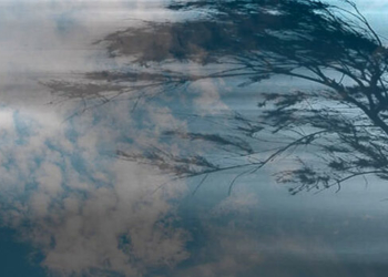 Протягом доби на Тернопільщині очікуються сильні вітрові пориви