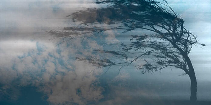 Протягом доби на Тернопільщині очікуються сильні вітрові пориви