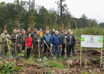 Зелена Тернопільщина: у області висаджено 250 га нових лісів