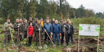 Зелена Тернопільщина: у області висаджено 250 га нових лісів