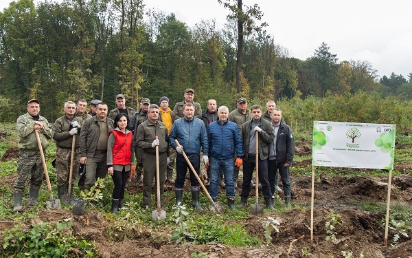 Зелена Тернопільщина: у області висаджено 250 га нових лісів