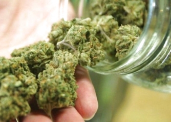 На Тернопільщині працівник тюрми розповсюджував серед ув’язнених наркотики