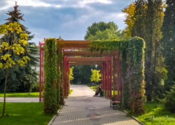 За останні роки в Тернополі висадили понад 6000 нових зелених насаджень