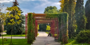 За останні роки в Тернополі висадили понад 6000 нових зелених насаджень