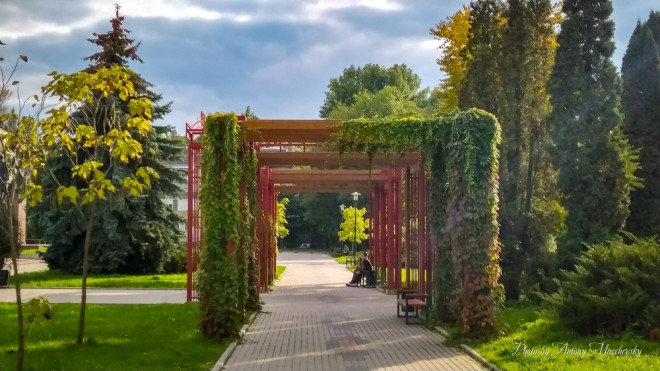 За останні роки в Тернополі висадили понад 6000 нових зелених насаджень