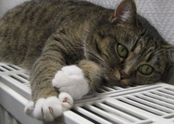 Тернопільщина готова розпочинати опалювальний сезон