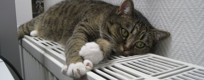 Тернопільщина готова розпочинати опалювальний сезон