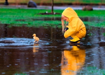 Погодні коливання: коли тернополянам чекати тепла?