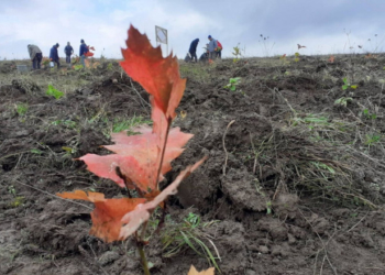 Духовне керівництво Тернопільщини долучилося до екоініціативи