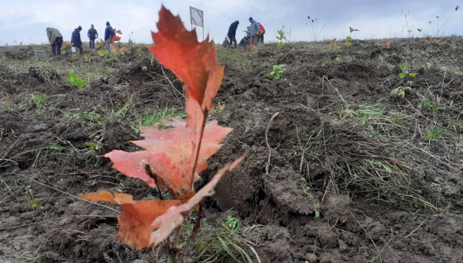 Духовне керівництво Тернопільщини долучилося до екоініціативи