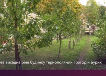 Алею дерев висадив біля будинку тернополянин Григорій Бурик