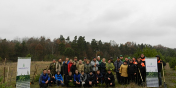 «Контінентал Фармерз Груп» запрошує пасічників взяти участь у «Марафоні лип»