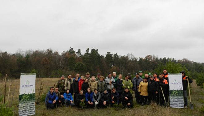 «Контінентал Фармерз Груп» запрошує пасічників взяти участь у «Марафоні лип»
