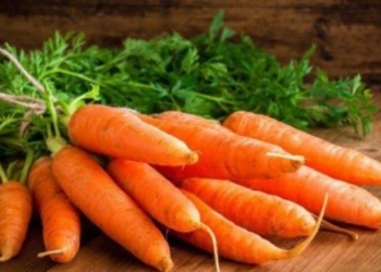 На Тернопільщині будинок-інтернат купив найдорожчу моркву