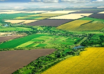 Багаті громади Тернопільщини: наступного тижня усі державні землі перейдуть у комунальну власність