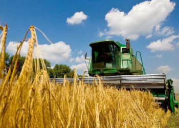 Тернопільщина буде з хлібом, але можливо без цукру