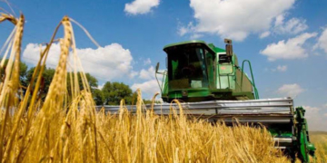 Тернопільщина буде з хлібом, але можливо без цукру
