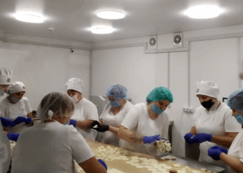 Перевірки тривають: у Тернополі виявили більше два десятки незаконно працевлаштованих працівників