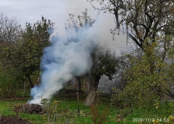Тернополянам варто пам’ятати: заборонено спалювати листя та інші сухостої