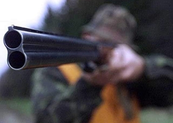 На Тернопільщині відкрили сезон полювання: що варто знати, щоб не потрапити у біду?