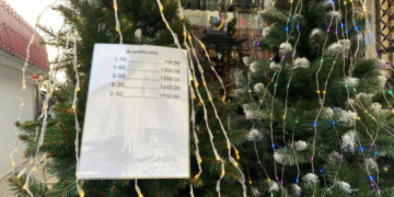 Скільки коштуватимуть тернополянам новорічні декорації та ялинка (Відео)