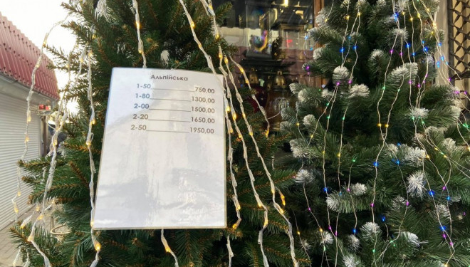 Скільки коштуватимуть тернополянам новорічні декорації та ялинка (Відео)