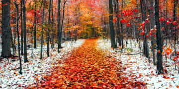 Чим здивує Тернопіль в останній осінній місяць?