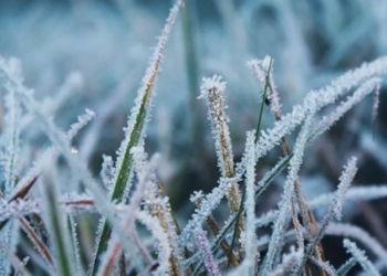 Тернополян просять бути обережними: змінюються погодні умови