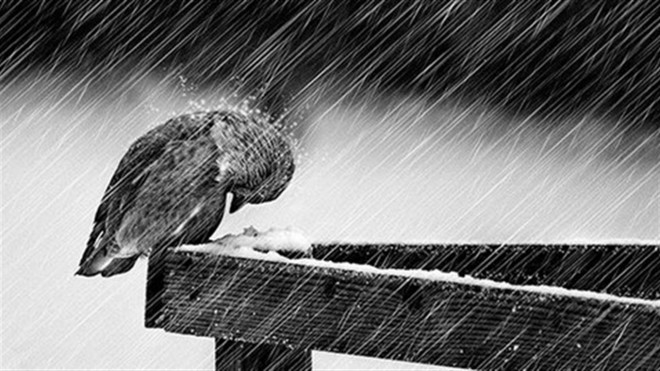 На Тернопільщині очікують погіршення погодніх умов: куди звернутися за допомогою?