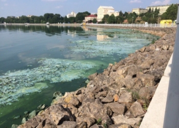 Тернопільське озеро виявилося із сюрпризом