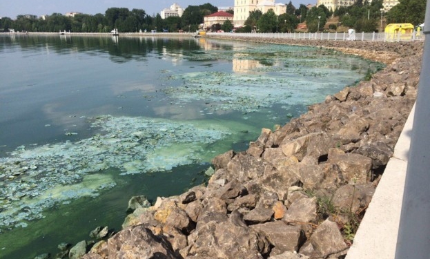 Тернопільське озеро виявилося із сюрпризом