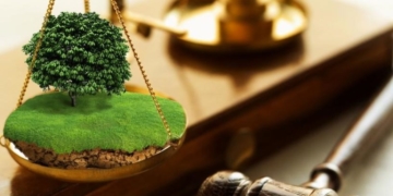 На Тернопільщині відбулися земельні торги: на скільки поповнилися місцеві бюджети?