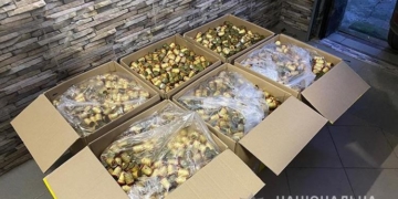 Фальсифікату майже на 24 мільйони гривень вилучили податківці на Тернопільщині