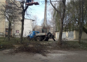 У Тернополі продовжують обрізати дерева