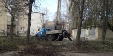 У Тернополі продовжують обрізати дерева