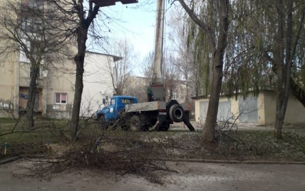 У Тернополі продовжують обрізати дерева